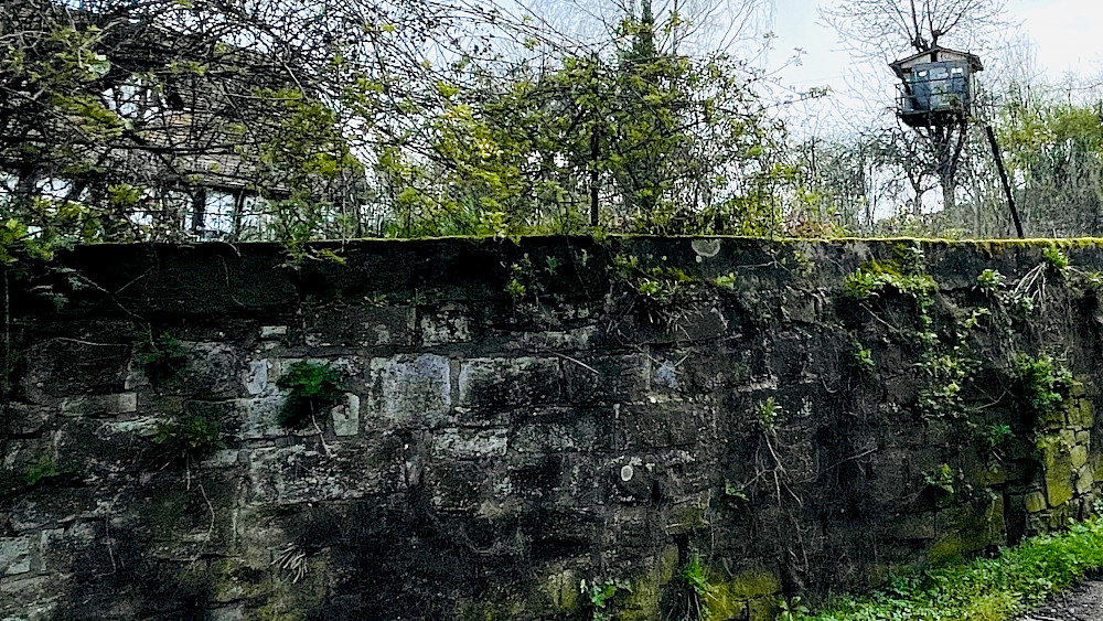 Erst eine Mauer, dann ein Turm